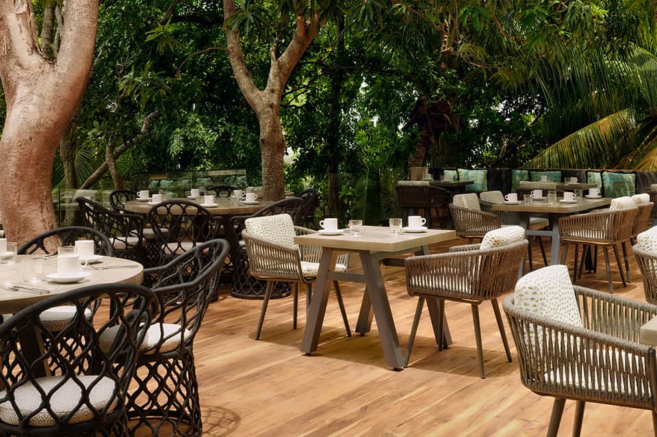 Outdoor dining area under tropical trees with woven chairs and wooden tables