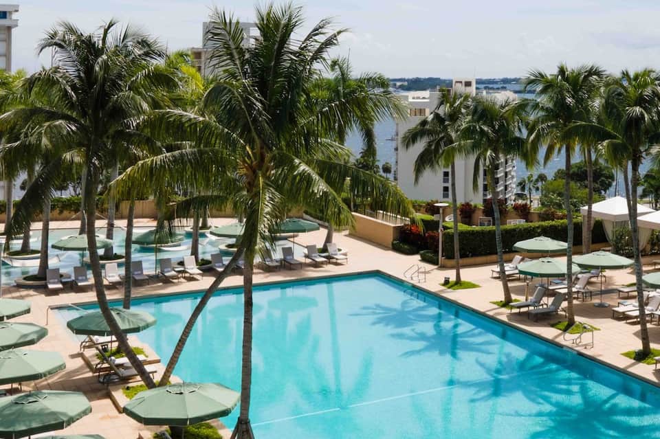 Tropical resort pool surrounded by palm trees, lounge chairs, and umbrellas with water view