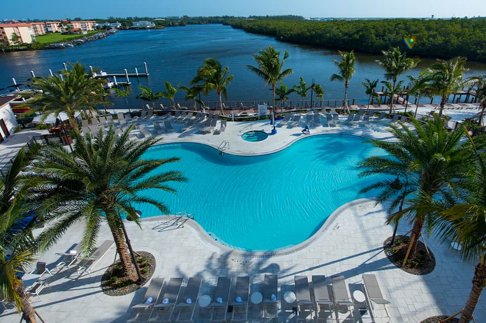 Curved turquoise resort pool with palm trees overlooking a waterway and mangrove forest