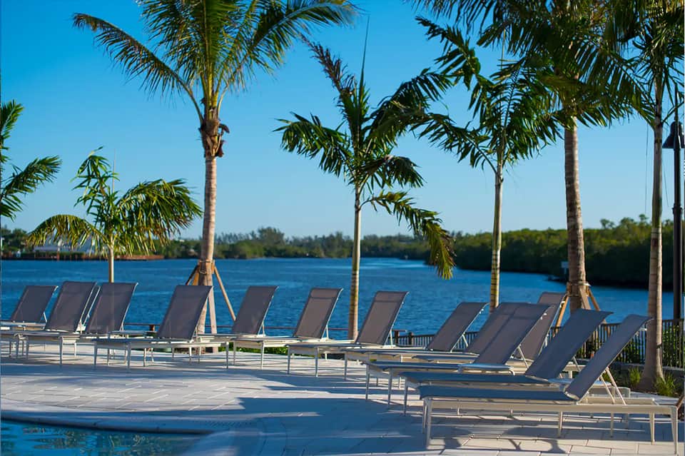 Waterfront lounge area with dark sunbeds, palm trees, and calm blue water beyond