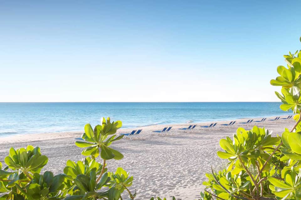 Sandy beach with lounge chairs and tropical vegetation under clear blue sky