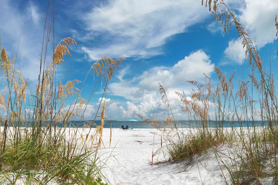 Beach view through beach grass with white sand and calm waters under blue sky