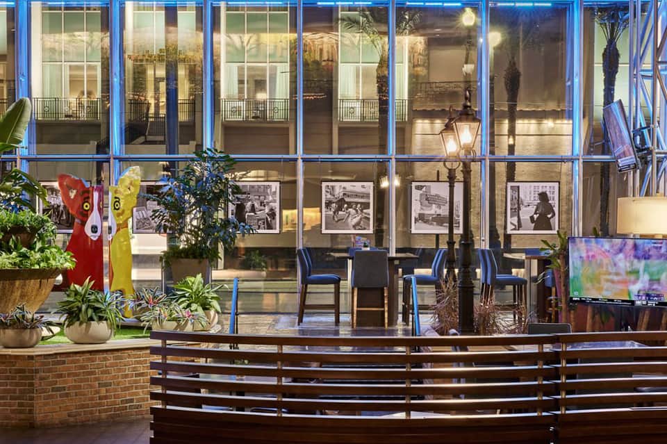 Modern glass-fronted lobby at dusk with blue-framed windows, indoor plants, and historical photographs