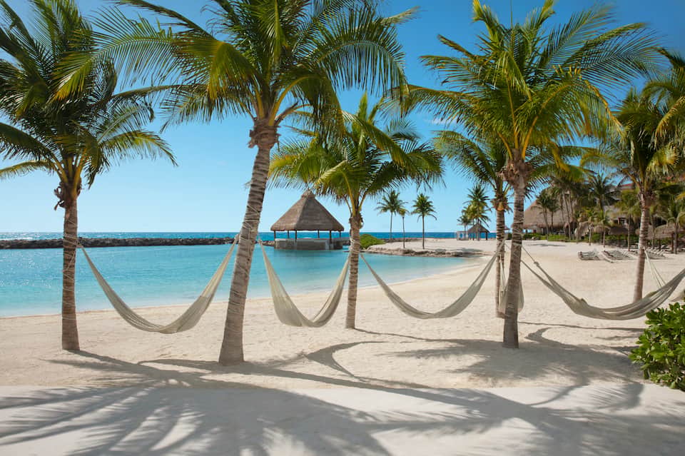 Tropical beach with palm trees, white hammocks strung between palms, and turquoise water