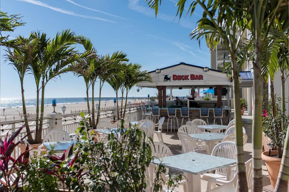 Beachfront deck bar with white furniture, palm trees, and ocean view under clear blue sky