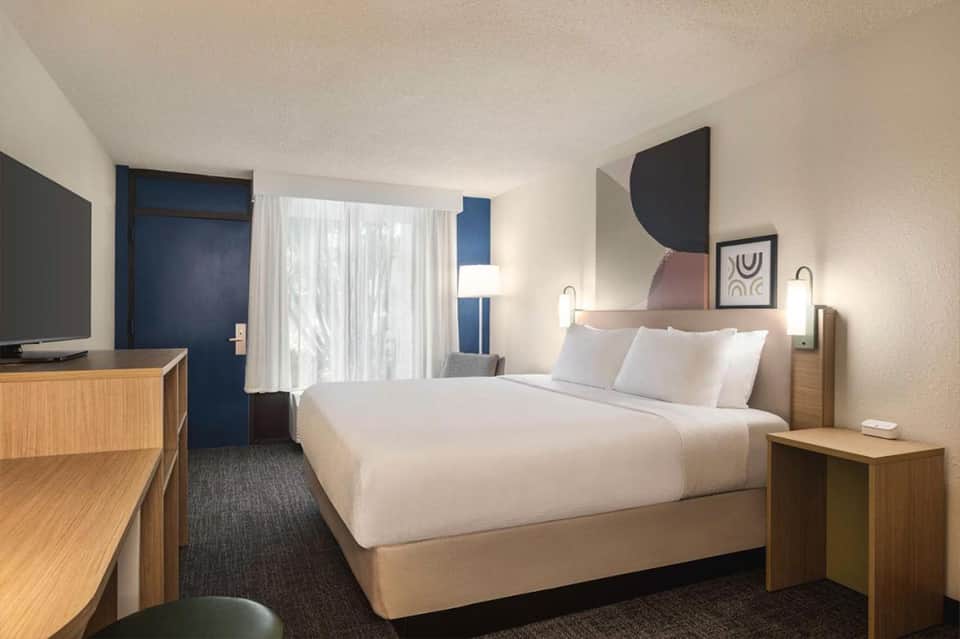 Modern hotel bedroom with queen bed, blue accent door, TV, and bright natural light