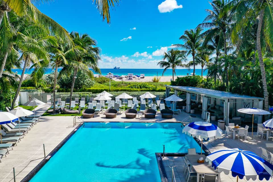 Beachfront resort pool with palm trees, loungers, and ocean view beyond white umbrellas