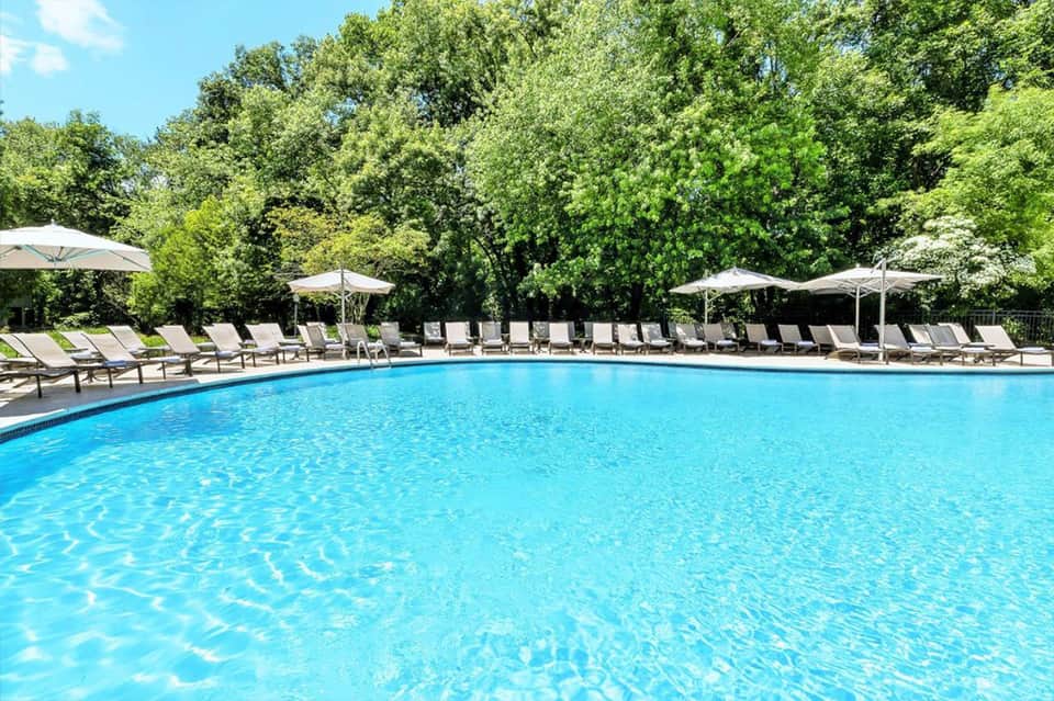 Resort swimming pool surrounded by lounge chairs and umbrellas with tree-lined background