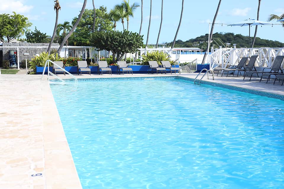 Bright blue resort swimming pool with lounge chairs and palm trees on sunny day