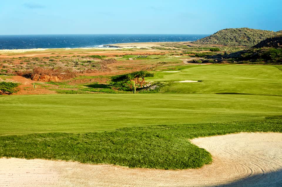 Coastal golf course with manicured fairways, sand bunker, and ocean horizon in background