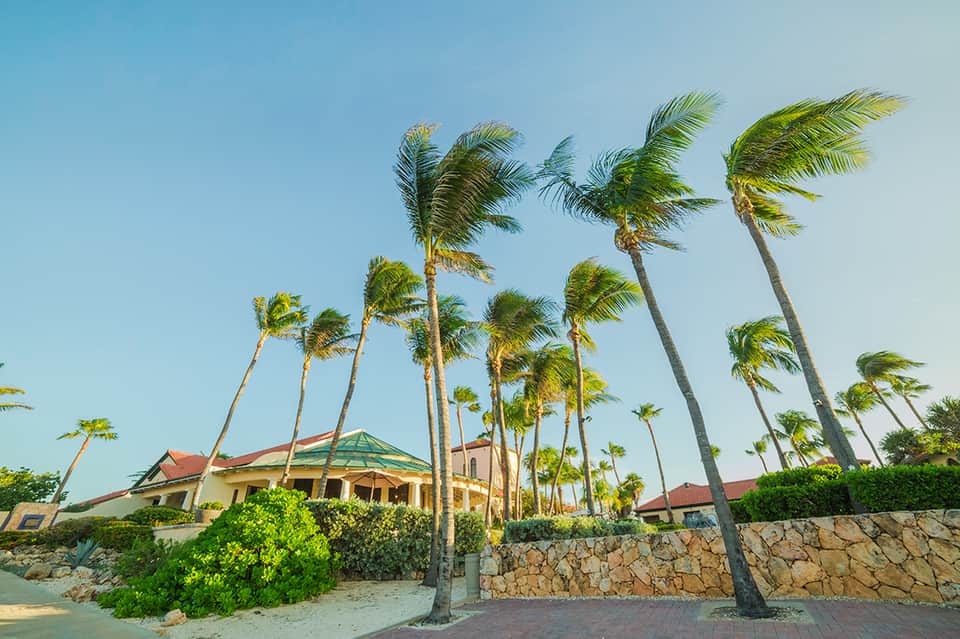 Beachfront resort building with palm trees swaying in wind and sandy landscape with stone wall