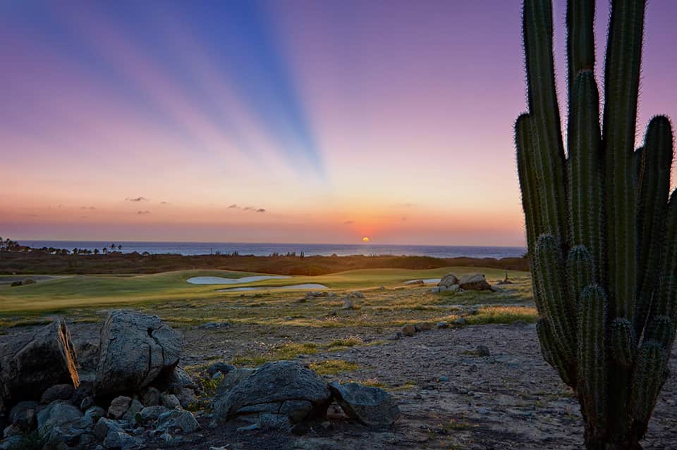 Desert landscape at sunset with tall saguaro cactus, rocks, and calm water in distance