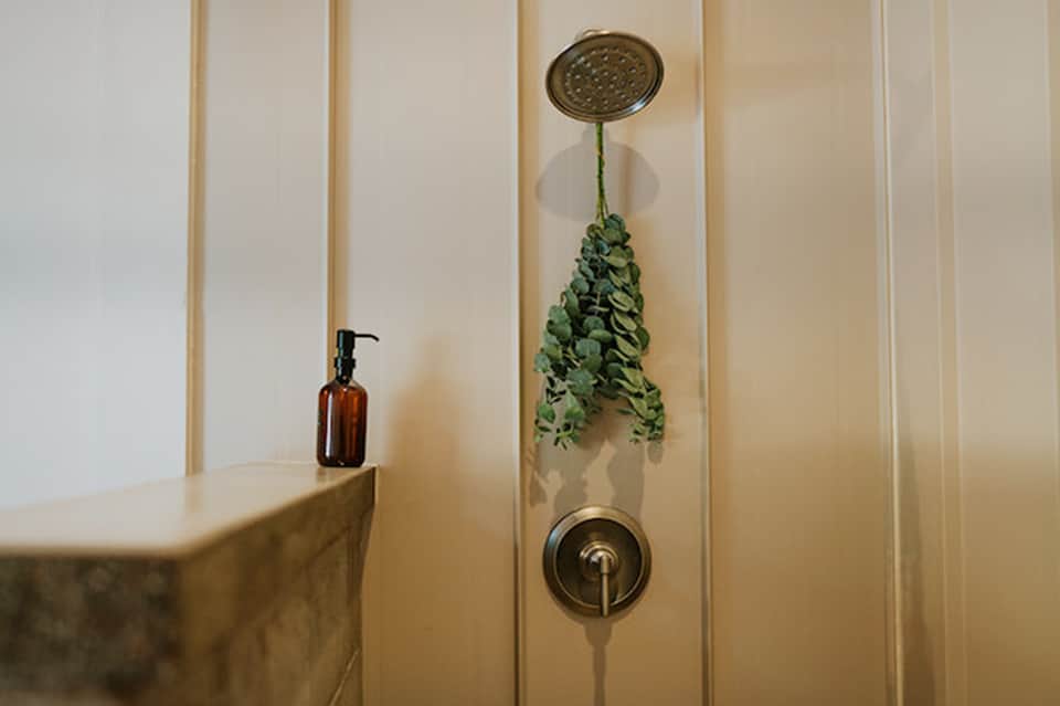 Minimalist bathroom shower with brass fixtures and hanging eucalyptus plant
