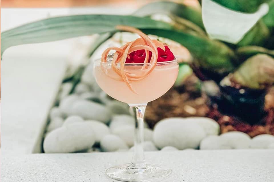 Elegant blush-pink cocktail garnished with peach ribbon and red rose petals, surrounded by tropical foliage
