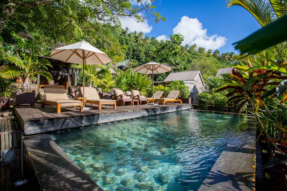 Tropical resort pool surrounded by palm trees, lounge chairs with umbrellas, and lush green vegetation