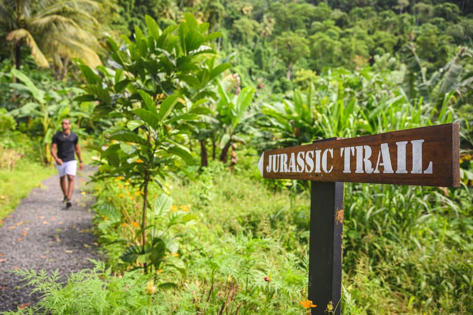 Wooden Jurassic Trail sign marking a hiking path through lush green tropical vegetation and jungle foliage