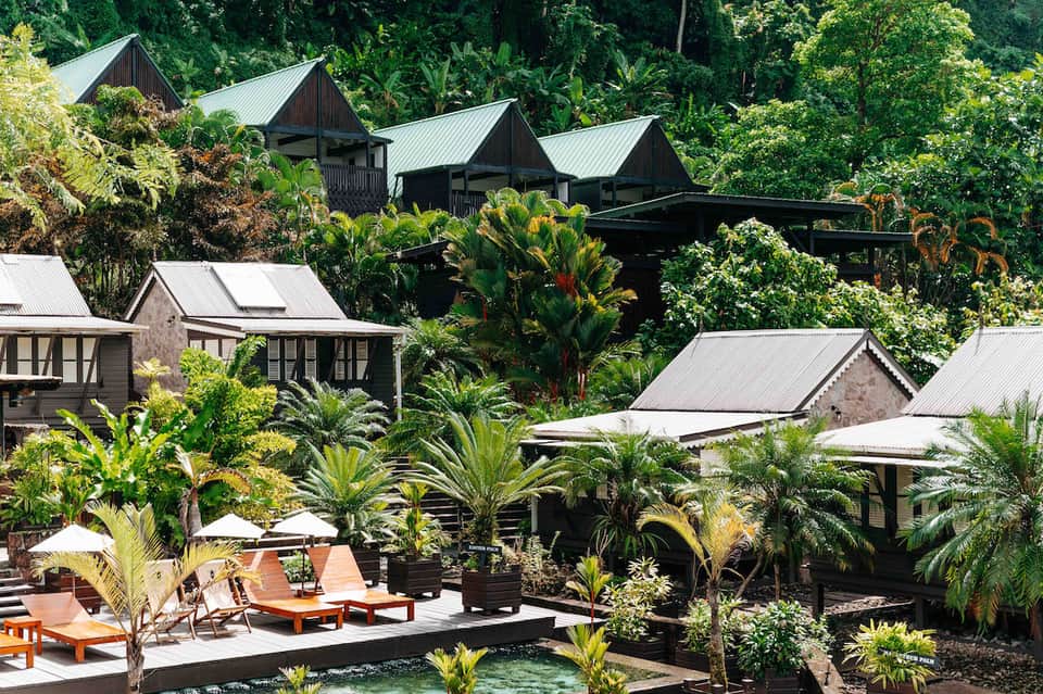 Luxury jungle resort with dark wooden villas, metal roofs, tropical plants, and lounging areas