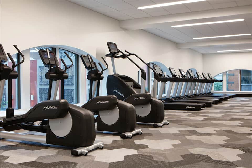 Modern gym with rows of cardio equipment including ellipticals and treadmills