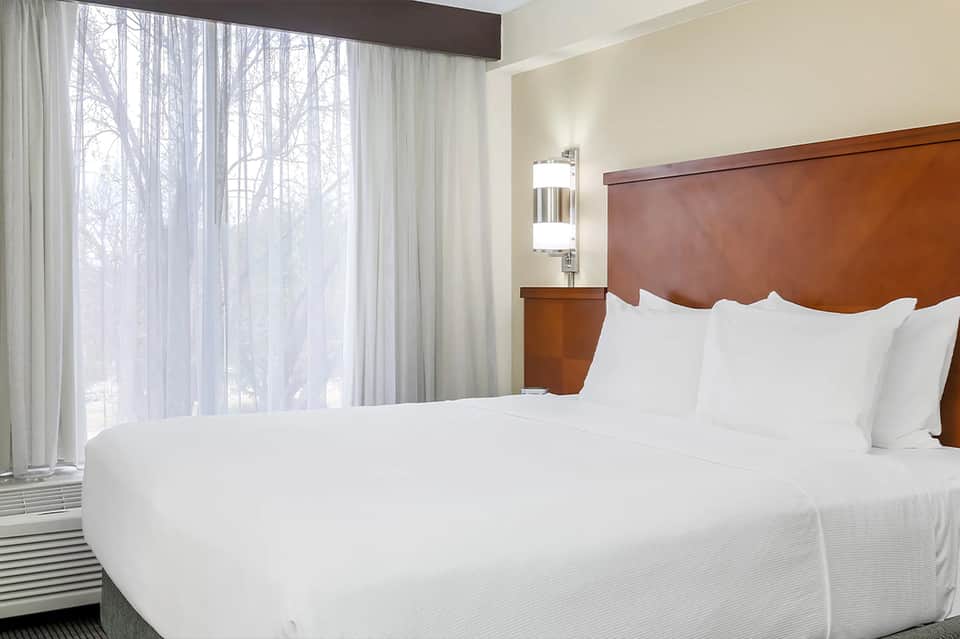 Hotel bedroom with queen bed, wood headboard, large windows overlooking bare winter trees