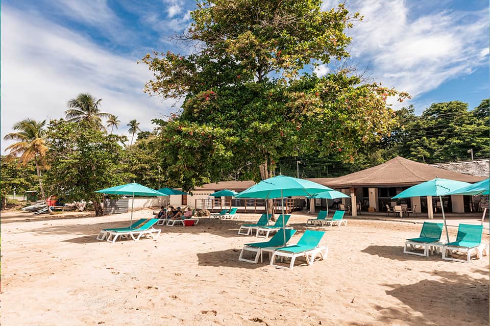 Beach resort with turquoise umbrellas, loungers, and tropical trees on white sand