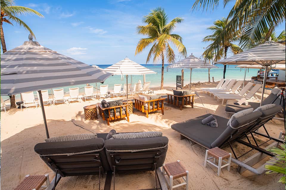 Beachfront resort with striped umbrellas, palm trees, and ocean view seating