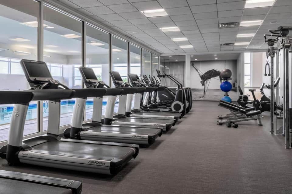 Modern fitness center with rows of treadmills and exercise equipment facing large windows