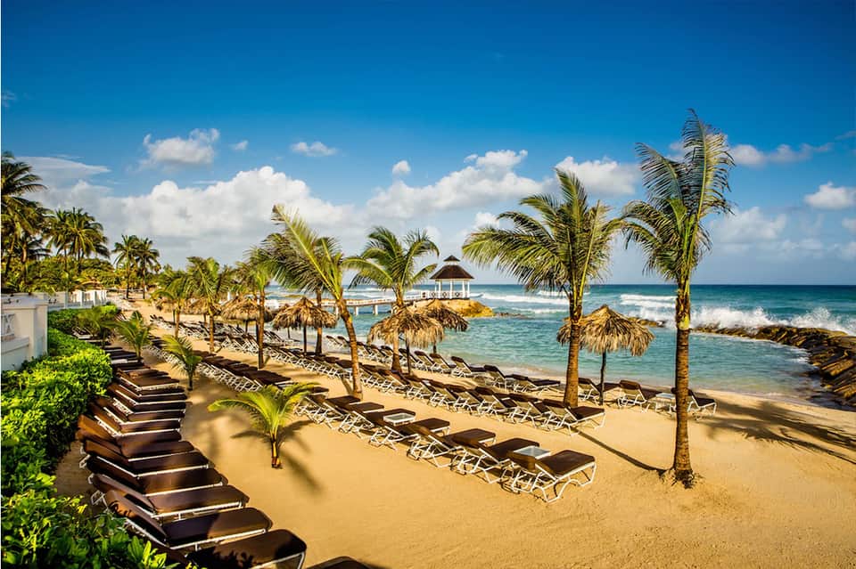 Tropical beach resort with palm trees, lounge chairs, and ocean waves under blue sky