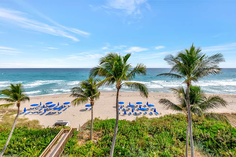 Beach with blue umbrellas and palm trees, ocean with waves, viewed from elevated tropical resort property