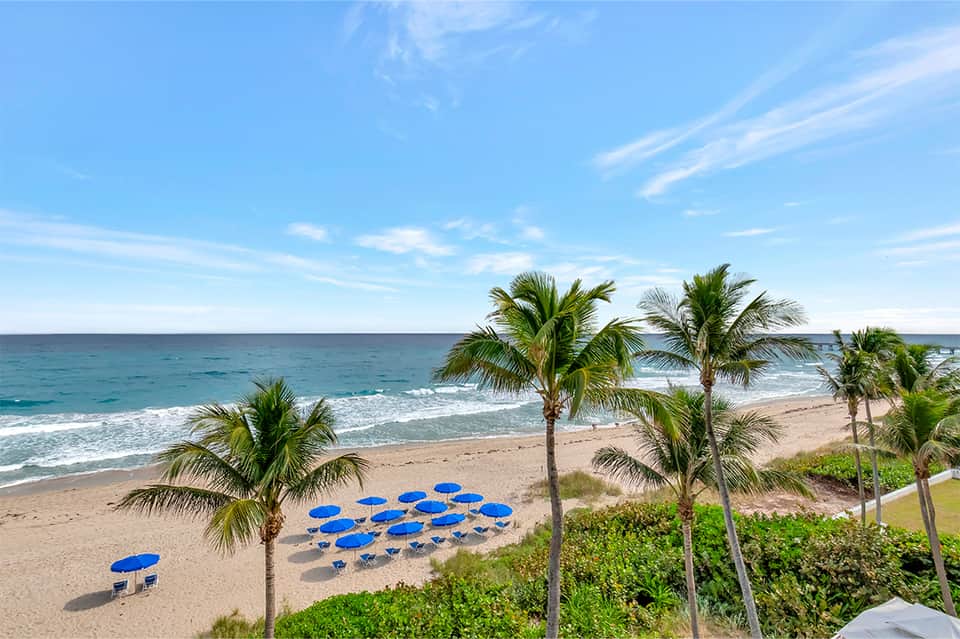 Beach scene with palm trees, blue umbrellas, and ocean waves under clear sky