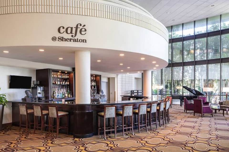 Modern café at Sheraton with curved bar counter, high seating, floor-to-ceiling windows overlooking grounds
