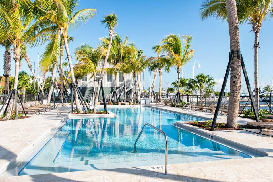 Resort pool surrounded by palm trees with marina and sailboats visible in the background
