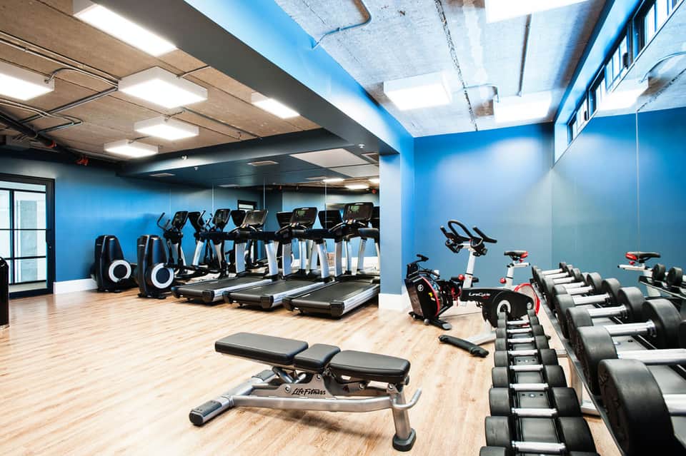 Modern fitness center with blue walls, treadmills, stationary bikes, dumbbells, and weight benches on wooden flooring