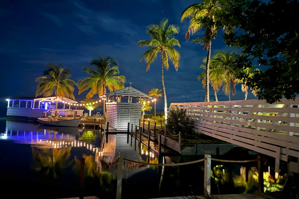 Illuminated waterfront docks with boats and palm trees at night reflecting in calm water