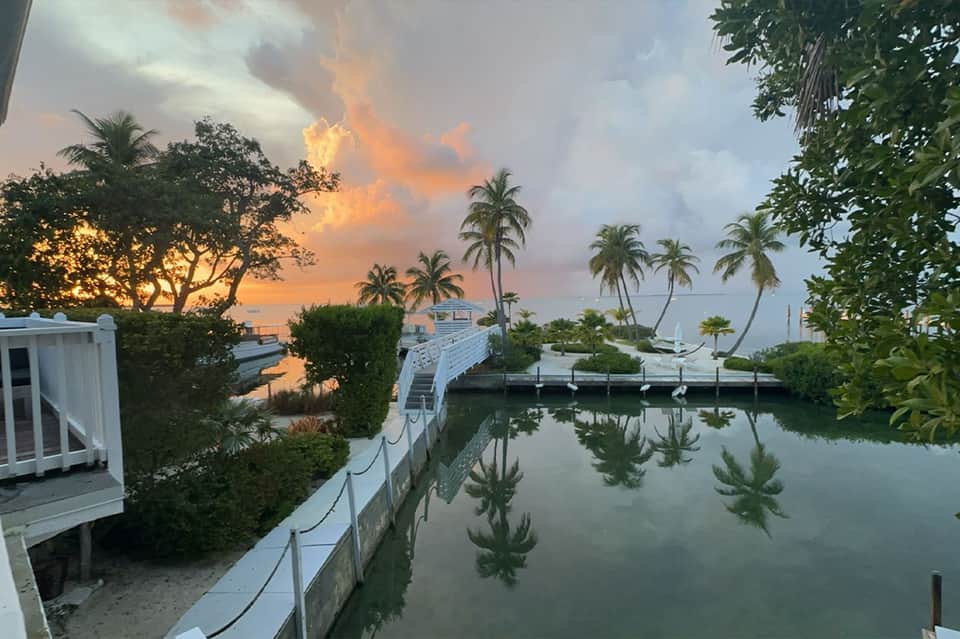 Sunset over marina with boats docked, palm trees and waterfront buildings