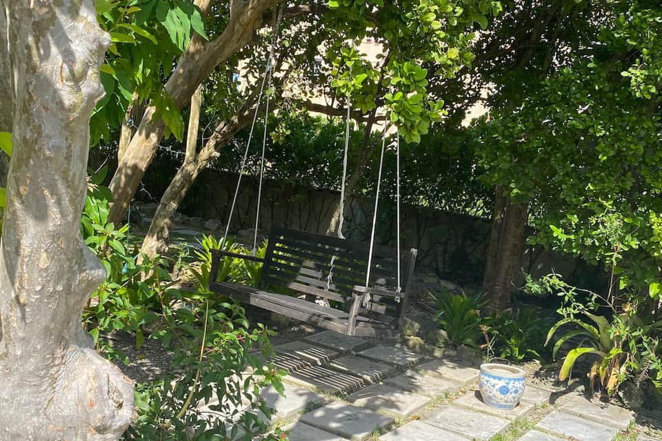 Garden swing suspended from tree branches in lush green backyard setting