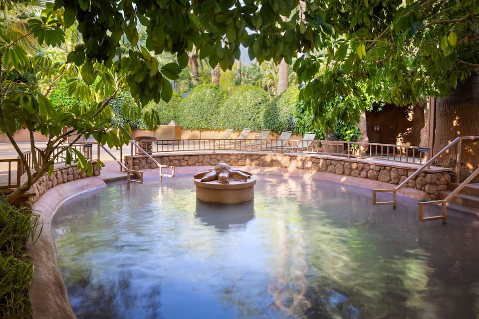 Natural hot spring pool surrounded by lush green trees and stone walls with fire pit