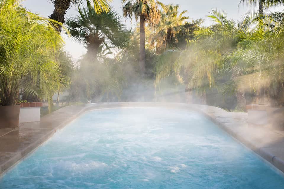 Steaming hot spring pool surrounded by palm trees with mist rising from the water