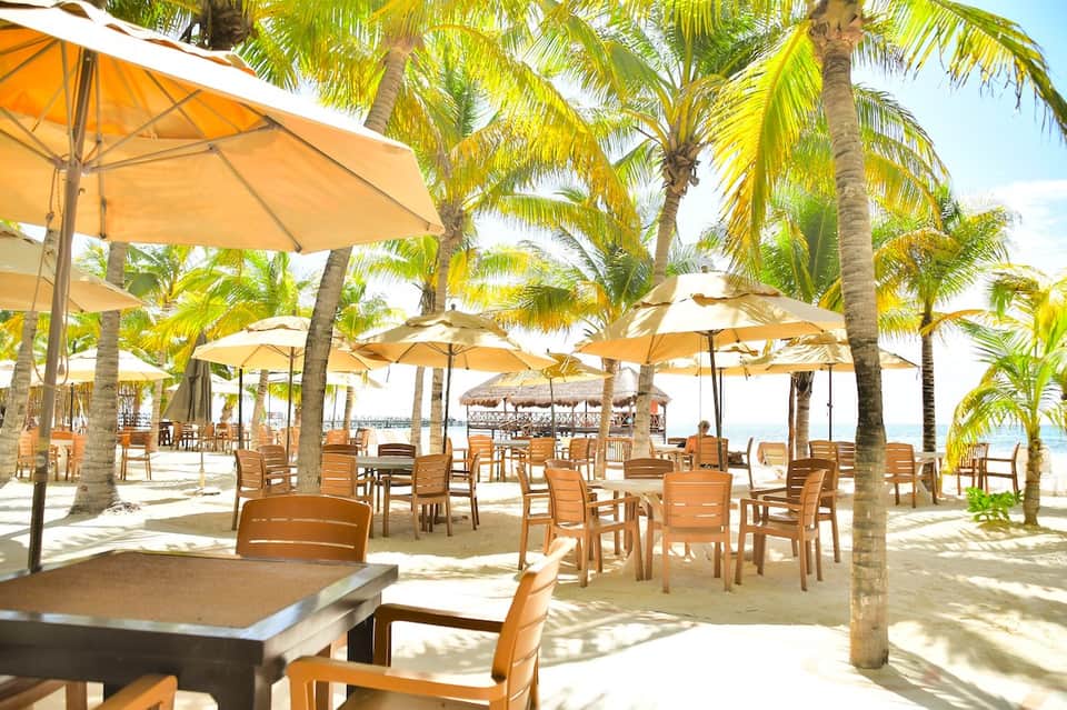 Beachfront dining area with tan umbrellas and palm trees