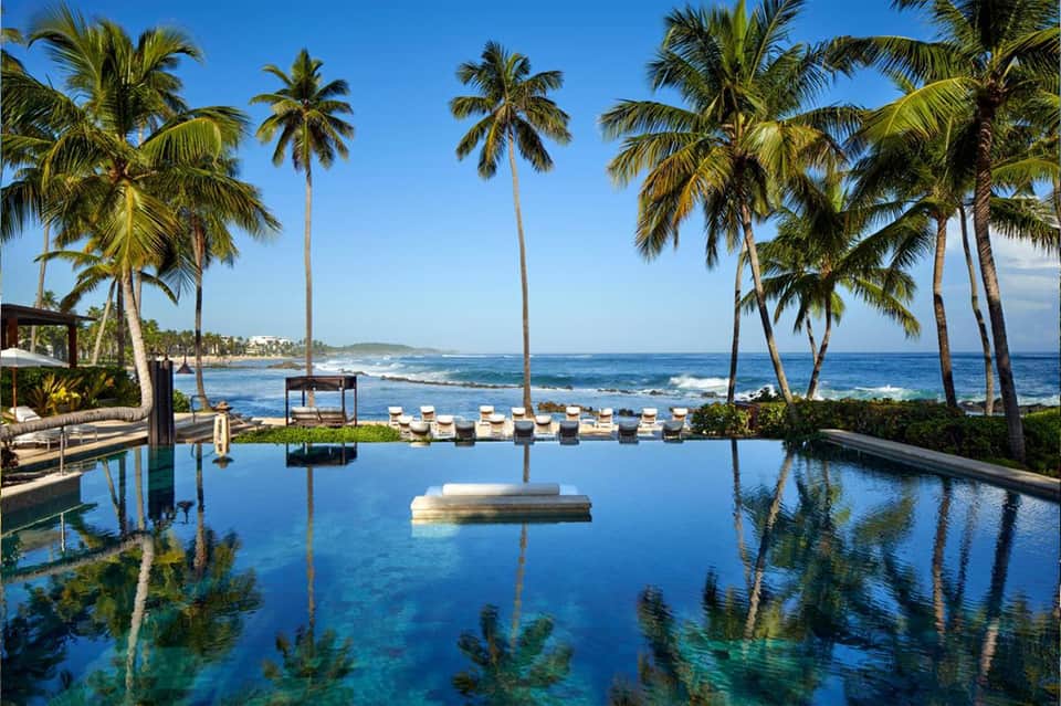 Luxury beachfront infinity pool with palm trees, ocean view, and white lounge chairs