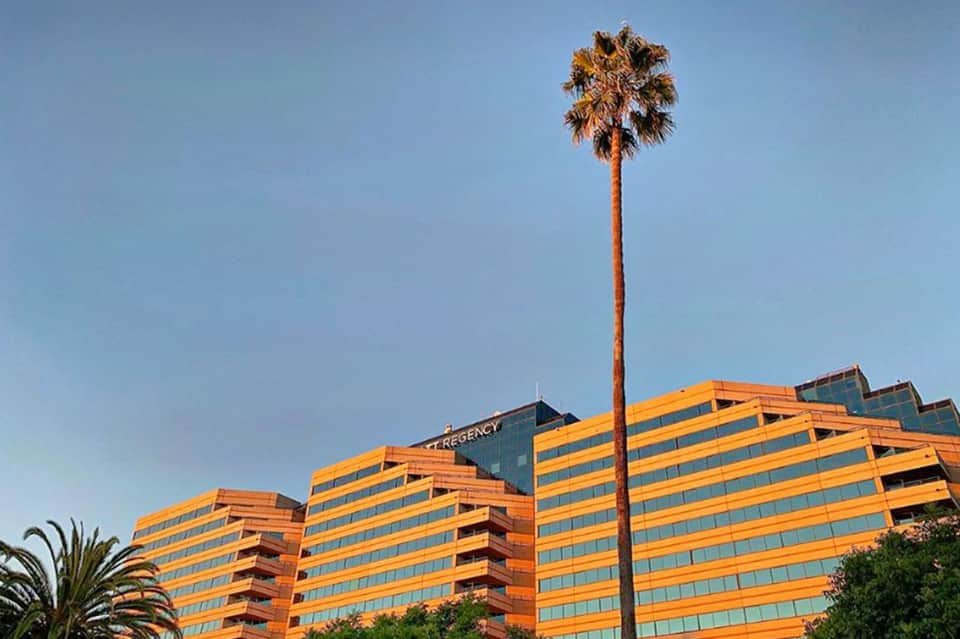 Orange and blue striped high-rise hotel building with tall palm tree against clear blue sky