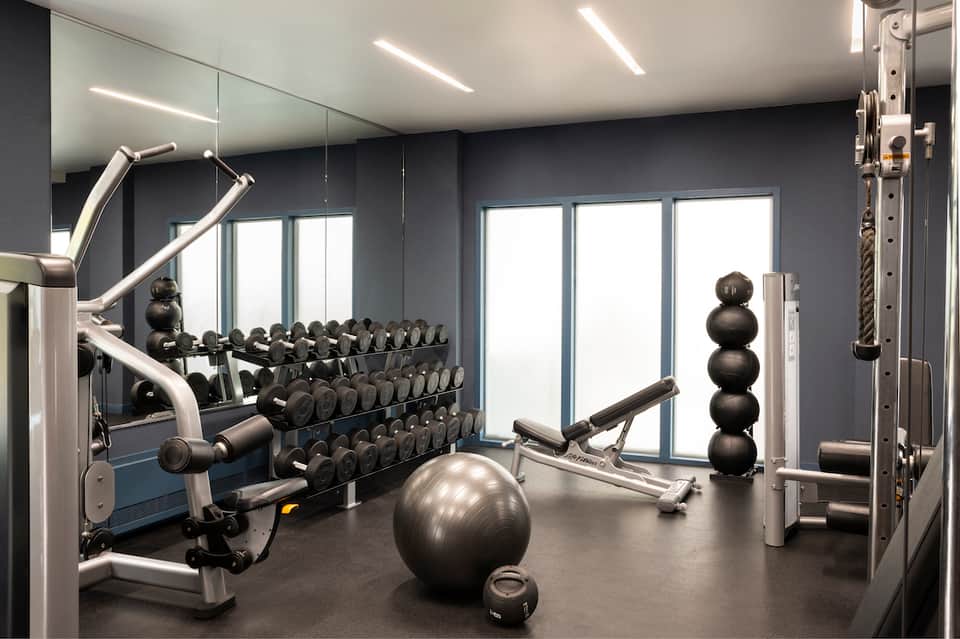 Contemporary gym with dumbbell racks, exercise equipment, medicine balls, and floor-to-ceiling windows