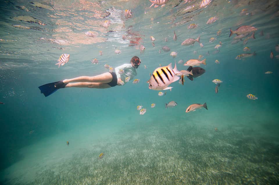 Snorkeler swimming underwater with striped fish in clear turquoise water