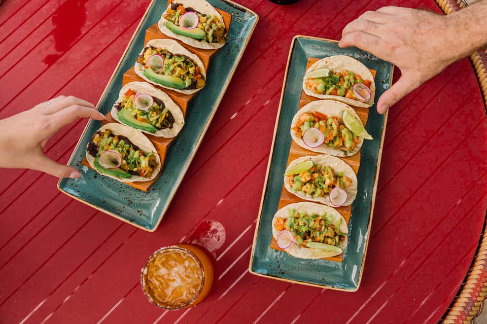 Overhead view of colorful tacos on teal plates with lime and radish garnish on red surface