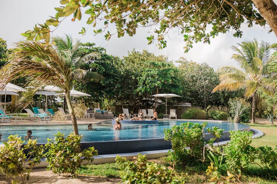 Resort pool surrounded by palm trees, lounge chairs, white umbrellas, and tropical landscaping