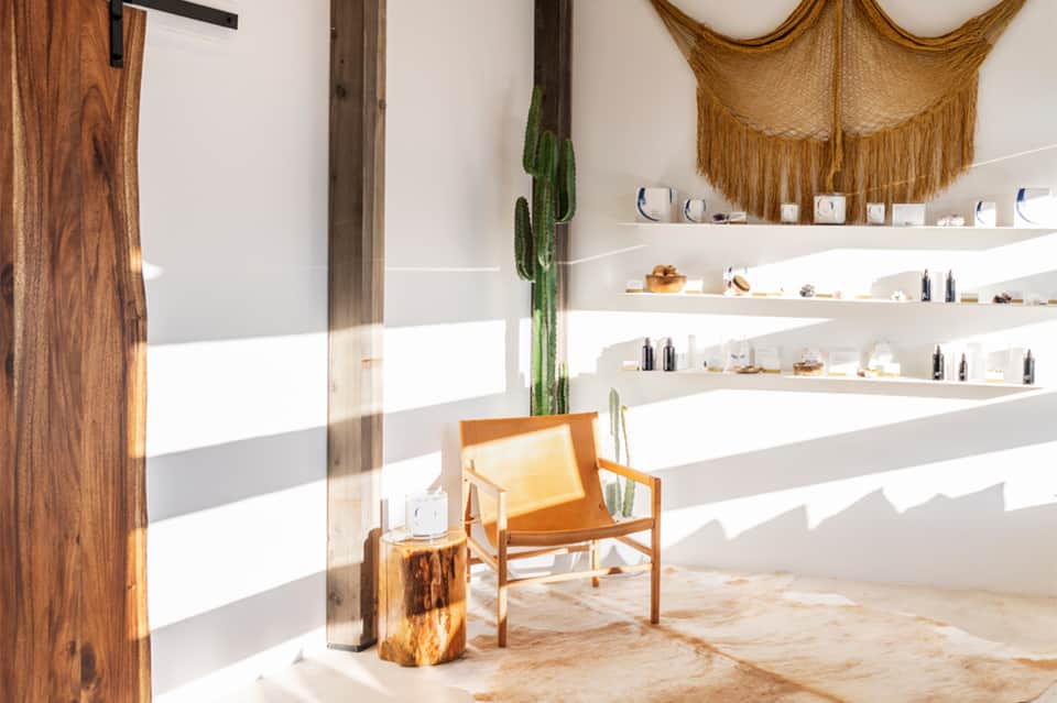 Modern minimalist spa or retail space with wooden door, cactus, and white shelving