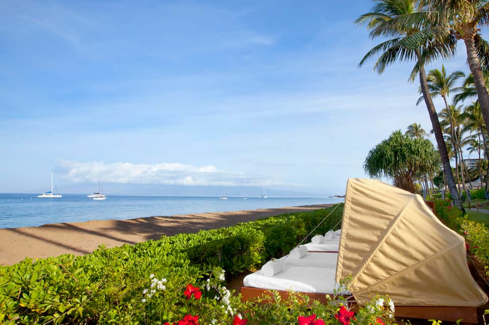 Beachfront lounger with tan shade umbrella, palm trees, white flowers, and sailboats visible on ocean