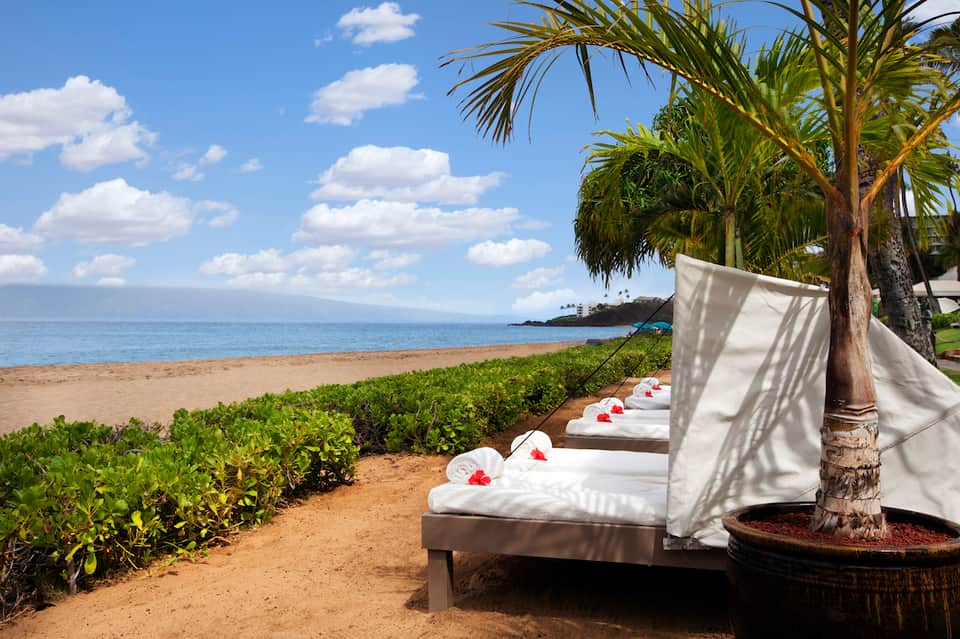 Beachfront lounge beds with white canopy under palm trees and ocean vista