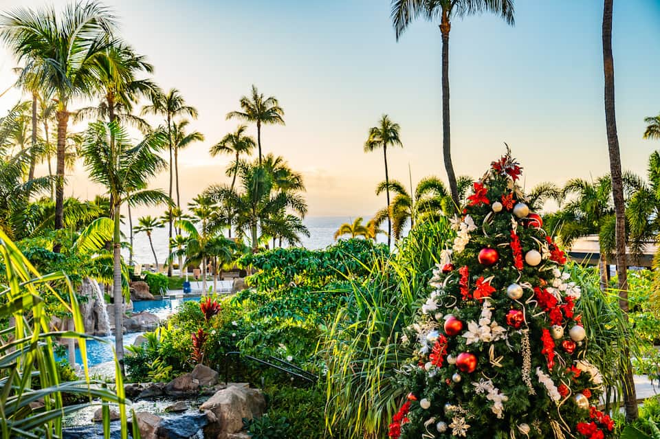 Beachfront resort grounds with decorated Christmas tree, palm trees, and ocean view