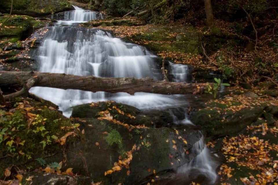 Cascading waterfall flowing over moss-covered rocks in a forested natural setting