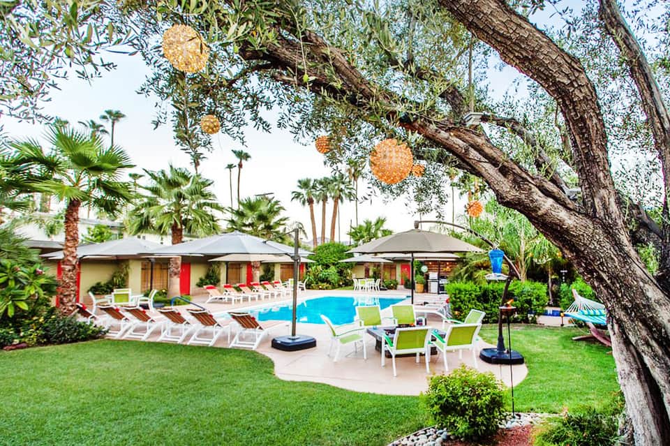 Tropical resort pool area with palm trees, lounge chairs, umbrellas, and manicured green lawn